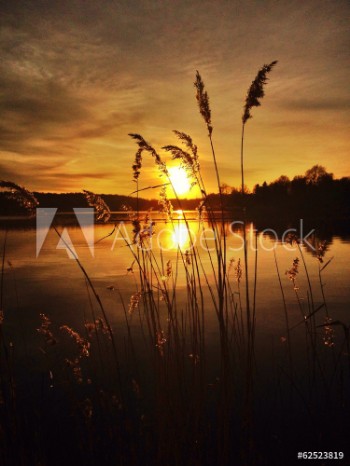 Bild på sunset over the lake